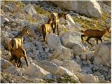 Rifugio Dibona - Bivacco Baracca degli Alpini